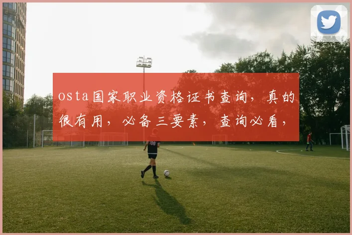 osta国家职业资格证书查询，真的很有用，必备三要素，查询必看，保障职场